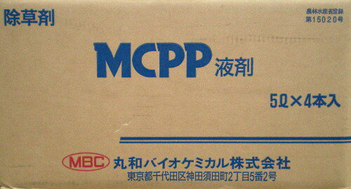 MCPPt5L~4{̃P[X̔