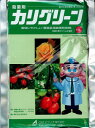 カリグリーンの商品画像