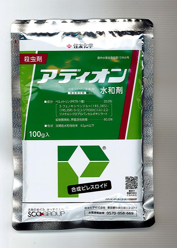 害虫 オリーブアナアキゾウムシとは 生態からわかる駆除方法をご紹介 暮らし の