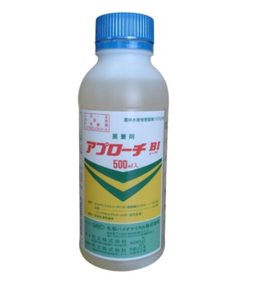 アプローチBI　500ml