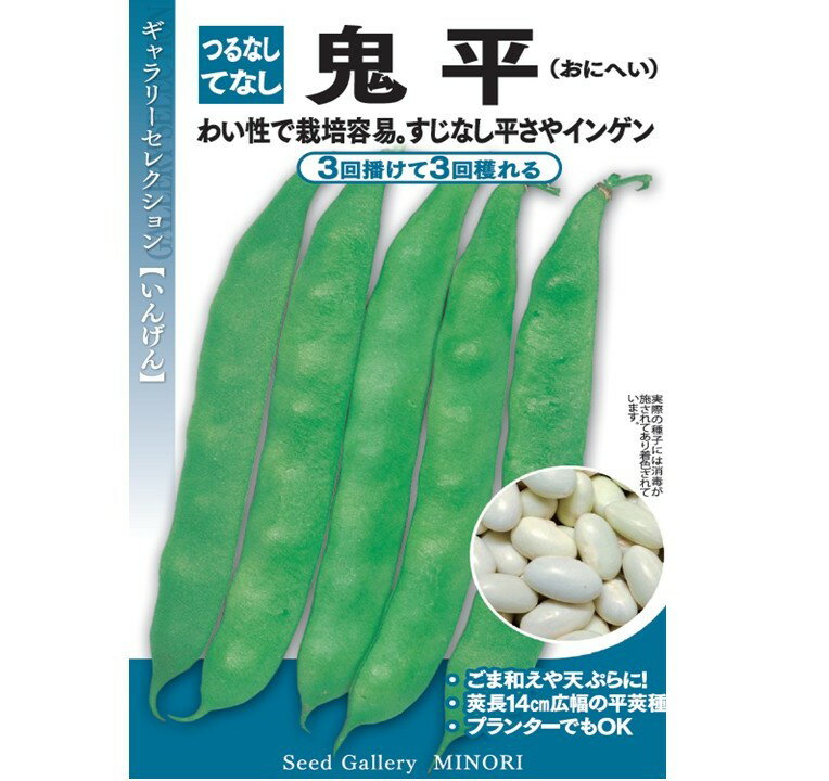 【メール便可】鬼平 つるなしいんげん【つるなし・てなし】インゲン