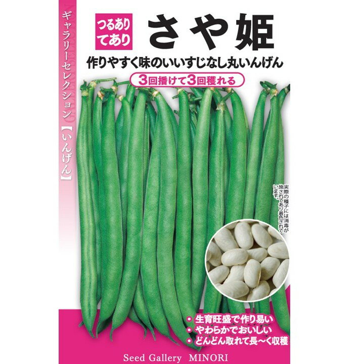 【メール便可】さや姫【つるあり・てあり】インゲン