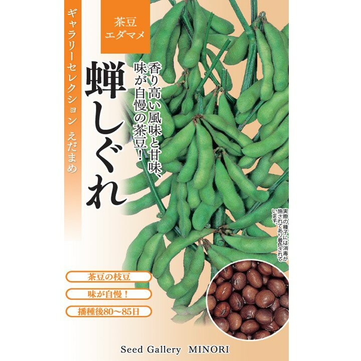 樂天商城 - 【メール便可】蝉しぐれ　茶豆　エダマメ