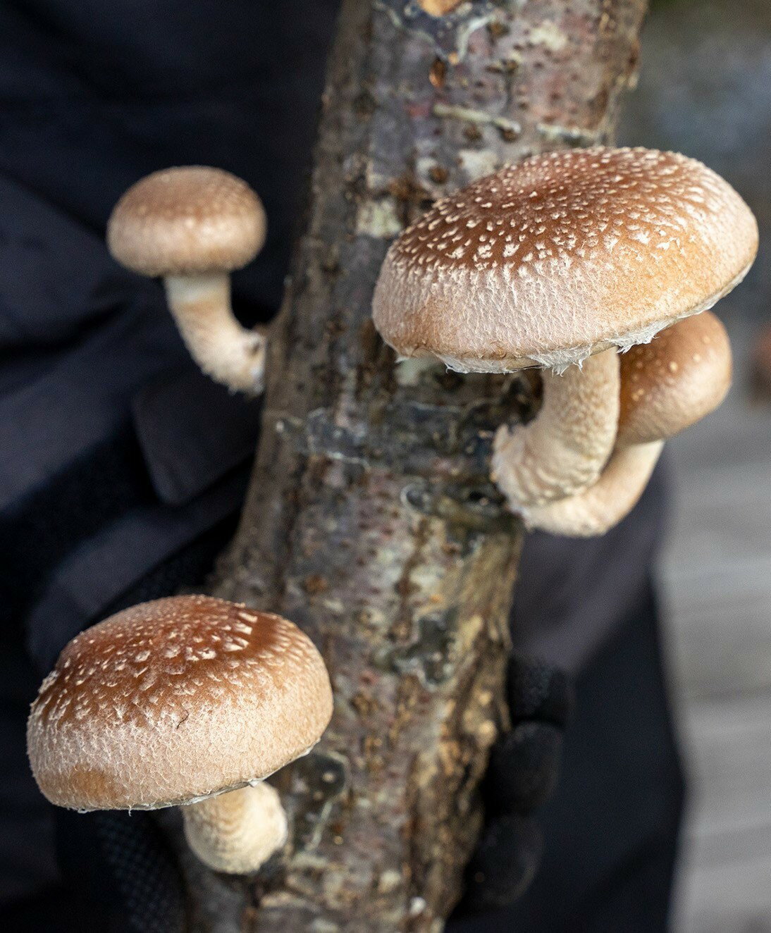 �����ȡ������������400������