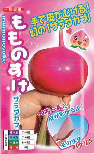 【ナント種苗】もものすけ　0．5ml【サラダカブ】
