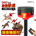 動物撃退器 防犯 アラーム 警報器 録音 機能付 ソーラー式 360度 人感センサー 赤外線 リモコン操作 害獣 猫よけ 侵入防止 光 警告音 大音量 ピストル音 熊 鹿 猪 イタチ 鳥 タヌキ 畑 庭 菜園 埋め込み 壁面 フェンス 駆除グッズ 対策 充電式 電光ホーム