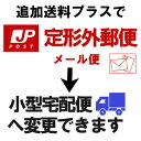 追加送料300円
