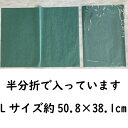 グリーンパーチ 魚を包む緑の紙 ミシン目加工袋入 20枚 Lサイズ 508×381mm 耐湿紙 熟成 津本式 おさかなパックン 血抜き 送料無料 ブリパック ブ...
