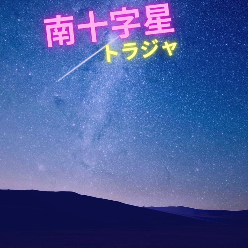 トラジャ【南十字星】300gメール便送無料インドネシア スラウエシ 東洋の女神 と 呼ばれています 中煎り ストレートコーヒー スマトラ式精製法 で 仕上げた インドネシアコーヒー 伝統の味です トラジャコーヒーに 南十字星 　と名付けました 京都西陣珈琲