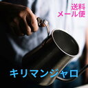 酸味 甘味 300g 中浅煎り メール便 送料無料 アフリカ タンザニア サイフォン ドリップ さわやかコーヒー 浅煎り 中煎り 香り高い フルーティー 和菓子に合う 羊羹にあうコーヒー 京都西陣珈琲