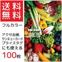 【ハンドメイドさん必見】アクセサリー台紙 フルカラー 名刺サイズ 厚手 カゴ盛り野菜 100枚セット