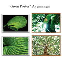 【自然を飾る】アートポスター GREEN A3(29.7x40センチ) リーフ 北欧 ポスター ART デザイン アートプリント インテリア 額縁 フレーム