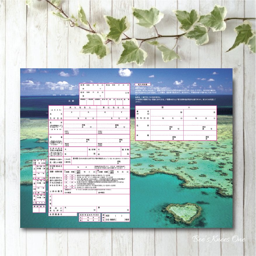 オリジナル婚姻届 デザイン婚姻届 提出用/記念用3枚組　ハート珊瑚　グレートバリアリーフ