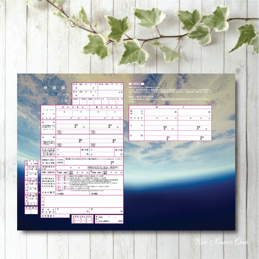 デザイン婚姻届 オリジナル婚姻届 提出用/記念用3枚組　宇宙から見た地球