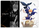 ハイキュー!! TO THE TOP 日向翔陽 クリアファイル Ver.2.0 【12/16頃入荷】