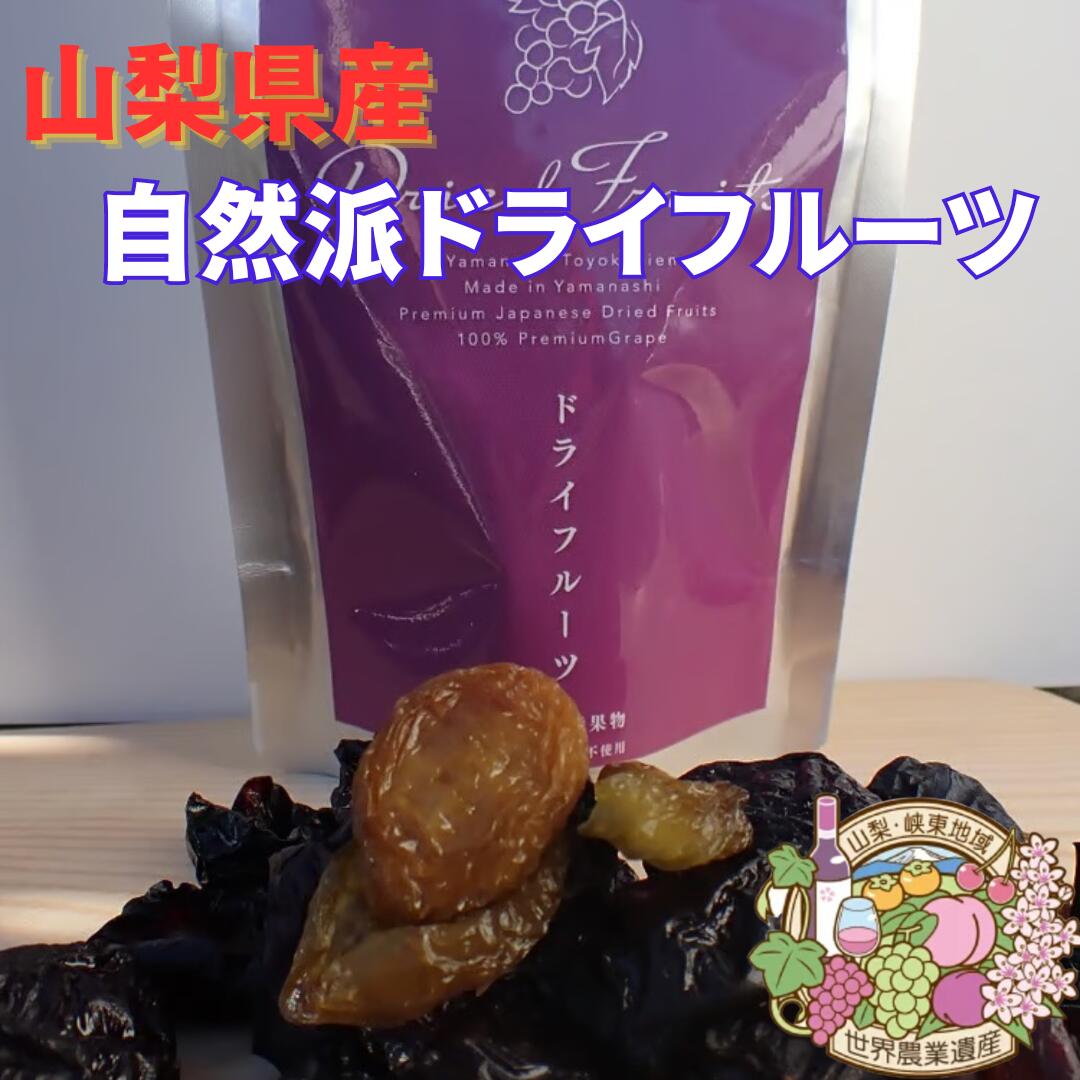 【 世界農業遺産 認定 】ぶどうのドライフルーツ　約30g まるで生の味わい！　おいしい　フルーツ ギフト 秋 冬 贈答用 便利なチャック付き 産地直送 送料無料！