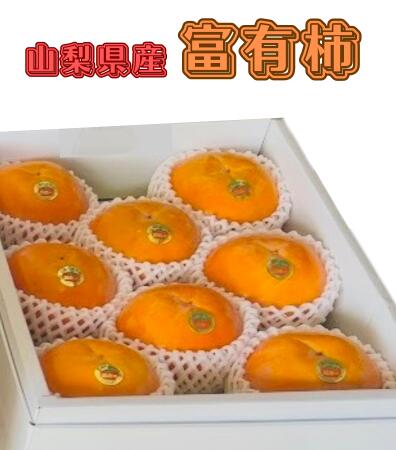 【 世界農業遺産 認定 】山梨県峡谷地区 石和の富有柿 9個入り 贈答用 柿 甘い おいしい フルーツ 石和温泉 の かき 甘柿 あまがき 秋 冬 ギフト 贈り物 贈答品 産地直送 送料無料！のサムネイル