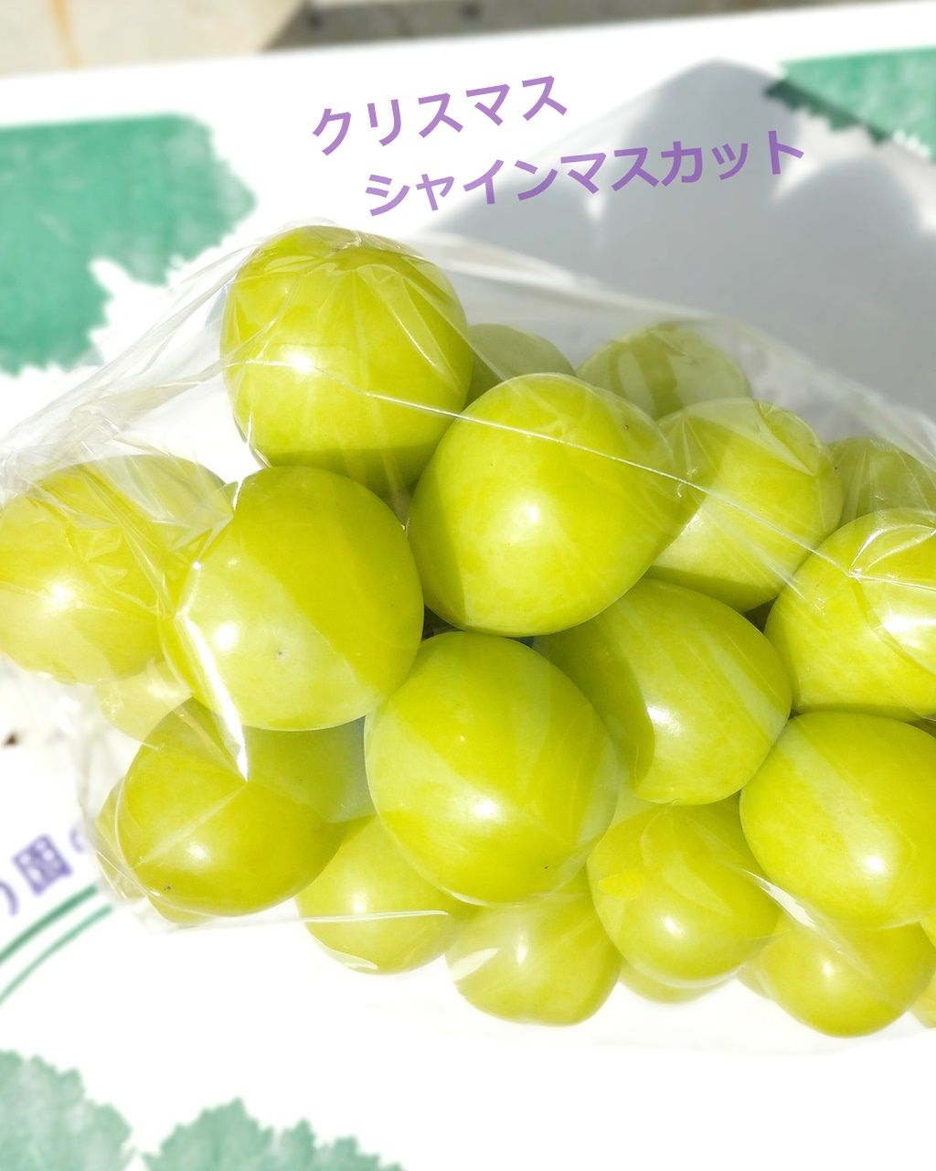 山梨県 シャインマスカット 1房 【 YUM NOSH 】【 世界農業遺産 】 おいしい 冬 ぶどう 葡萄 高級 フルーツ 冬 ギフト 贈り物 贈答品 お歳暮 お土産 産地直送 送料無料(4)