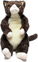 猫 ぬいぐるみ 金之助 Cuddly カドリー 猫グッズ 猫雑貨 ぬいぐるみ ねこ