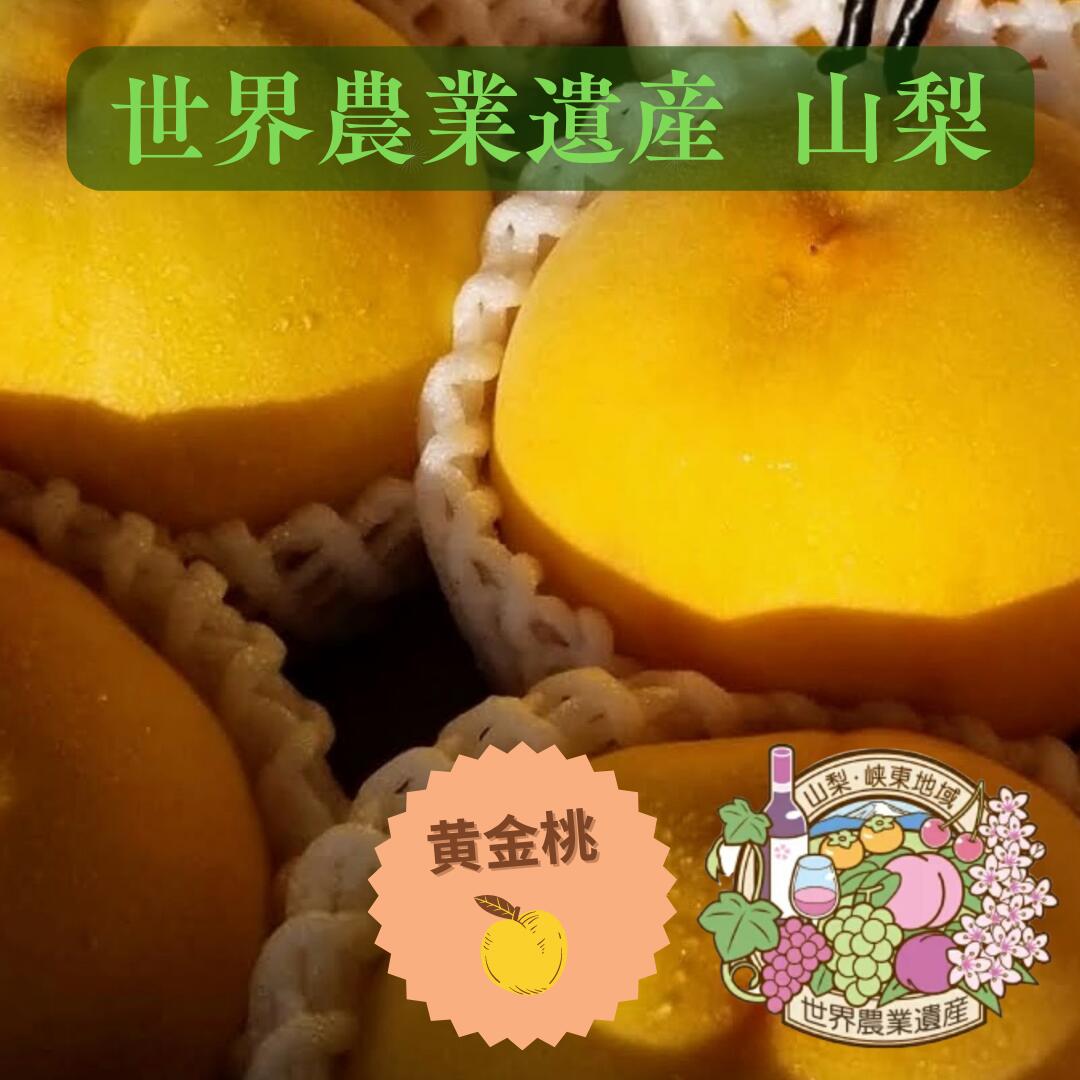 8月中旬より発送 山梨県産 ギフト【 甲斐黄桃 】 かいきいとう 3キロ箱(8〜10玉入り) 【 アンの桃 】【 上品 】【 黄色い桃 】 ギフト 送料無料 世界農業遺産