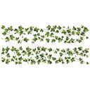 ルームメイト(RoomMates) ウォールステッカー グリーン貼って剥がせる 絵画風アイビー 52cm×5m 日本正規輸入品 RMK2409SCS