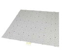 キャプテンスタッグ(CAPTAIN STAG) ディズニー レジャーシート マット クッションレジャーシート 180×180cm ピン4本付 収納バッグ付 くまのプーさん/こんにちは MA-4627