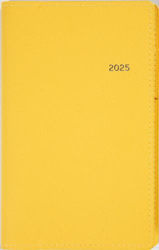 176 Tbeau (ƥӥ塼) 8 Ģ ⶶŹ 2025ǯ  ꡼ 146/91