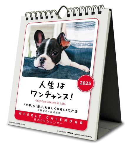 トライエックス 卓上 飯豊まりえ 2019年 カレンダー トライエックス 卓上 飯豊まりえ 2019年 カレンダー Amazon