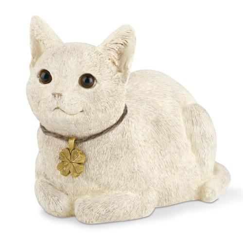 ͥ ǭ ǥ󥪡ʥ ֥ ʪ ƥꥢ Sitting Cat åƥ󥰥å