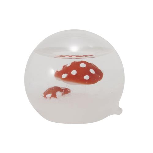 ʥꥫ ë ȡ॰饹 ɡ Τ W6D6H5cm FunScience 333-410