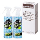 【】 GATSBY(ギャツビー) クレイジークール ボディウォーター アイスシトラス アテンションラベルレス仕様 170ミリリットル (x 2)(4)
