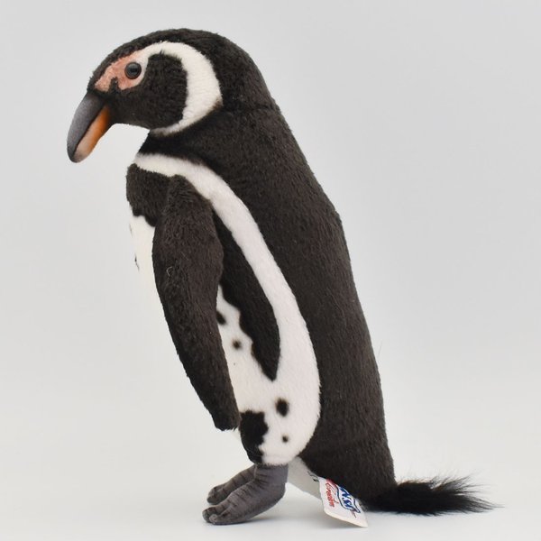 HANSA ガラパゴスペンギン BH7099　ハンサ リアル 動物 ぬいぐるみ かわいい グッズ 雑貨 置物 オブジェ インテリアの商品画像 2