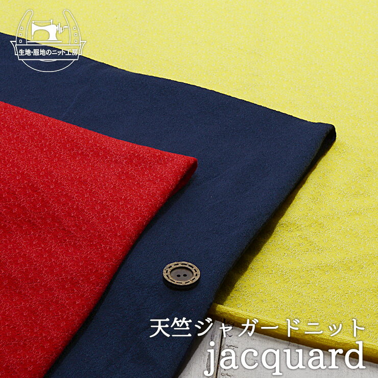 【ニット生地 透かし花柄/全3色】天竺ジャガードニット よく見るとお花の透かし模様入り 透け感やや有 ソフトな手触り 薄手 両方向に伸びるテンション中～やや高のニット 丸まりやすい【50cm単位 メール便2ヶまで】(a-5950)