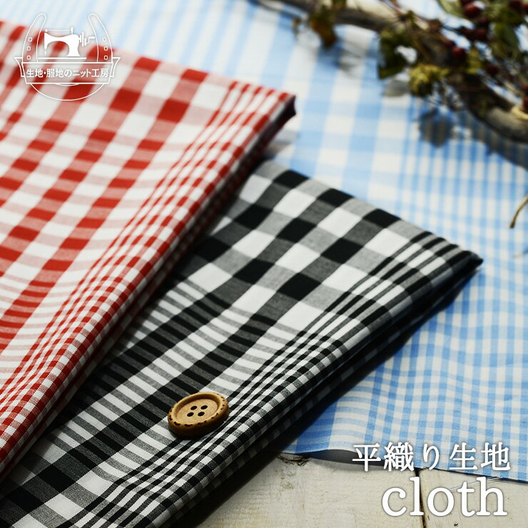 إ󥬥å/3ۥǥ 100ʿ Ϥ˶ᤤΥեȤ 50cmñ ᡼3ޤǡ(e-2019)