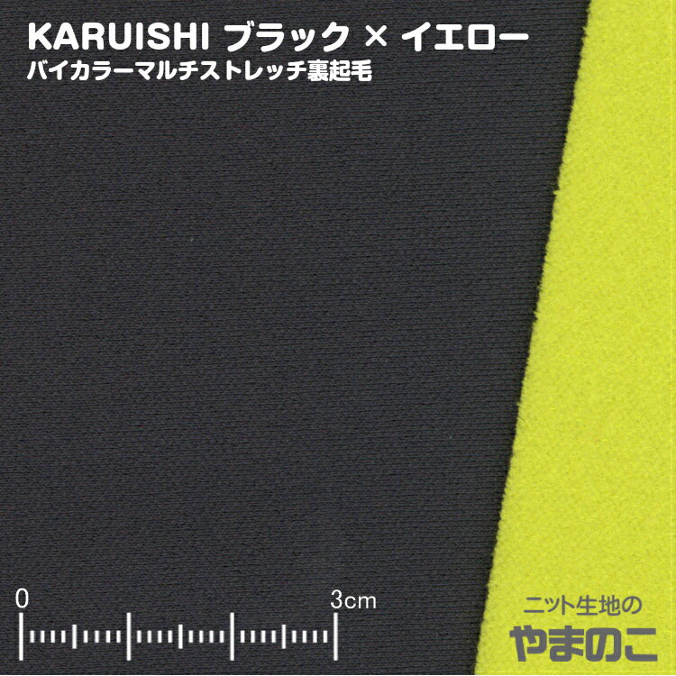 KARUISHI oCJ[}`Xgb`N ubN~CG[ ۉ y ϖՐ jbgn