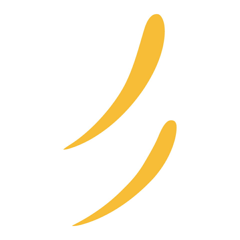 Shop icon