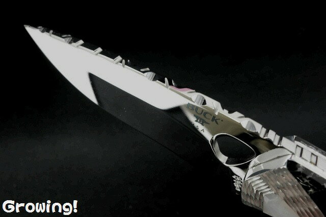 BUCK バック ナイフ ペインテッド ポニー 100台限定 420HC パール Painted Pony フ...