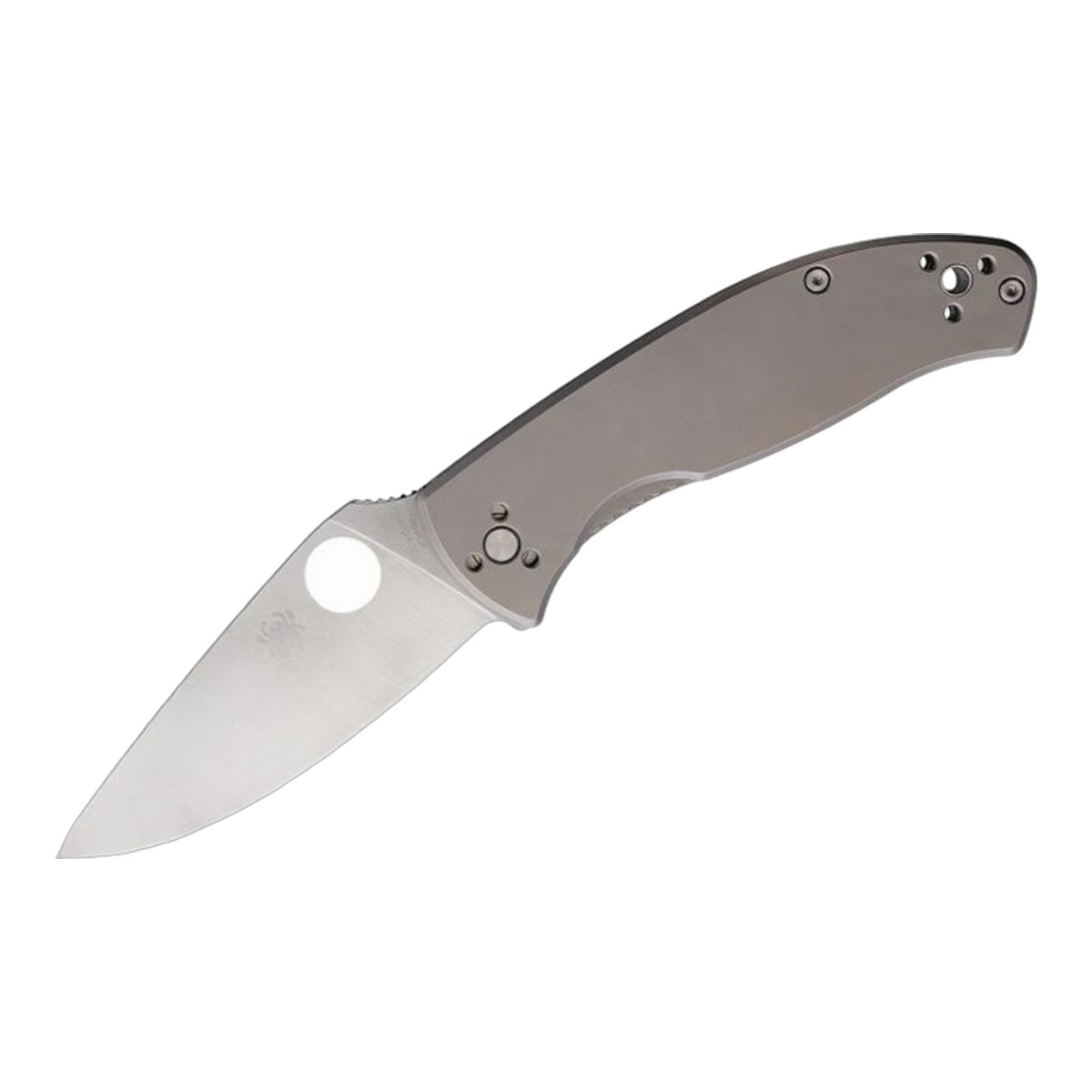 Spyderco スパイダルコ テネイシャス 8Cr13MoV チタニウム Tenacious C122TIP 折りたたみ ナイフ