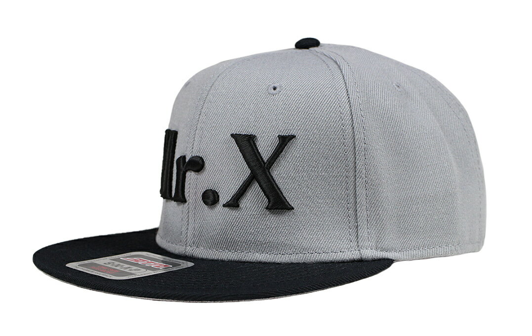 MISTER X [-MR-X BB CAP- GRY/BK]