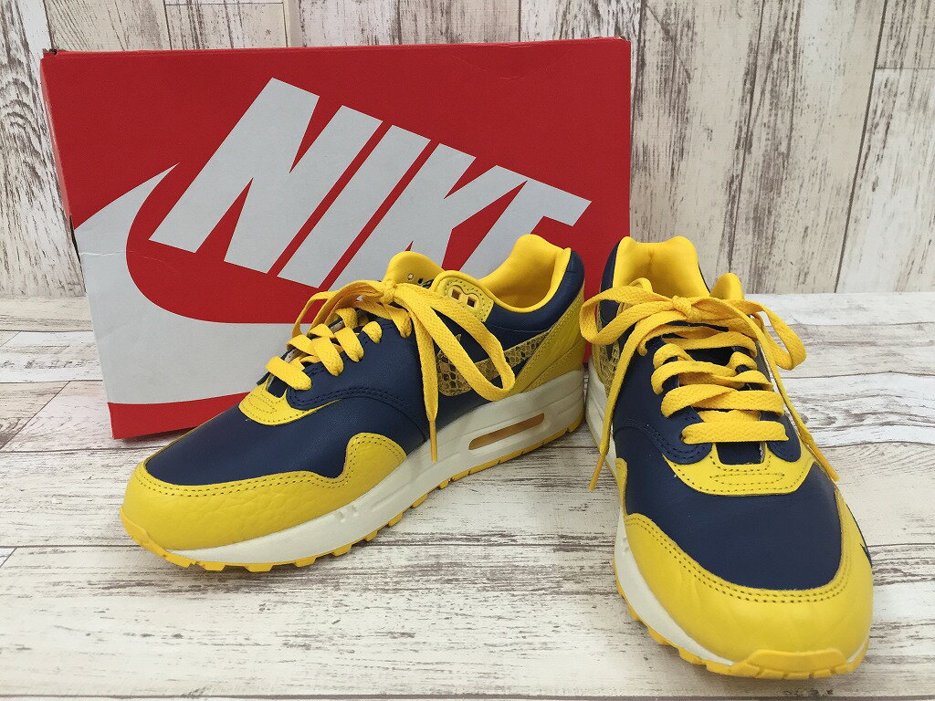 yÁzW NIKE AIR MAX 1 PRM FJ5479-410 iCL GA}bNX 2023N9ׁ