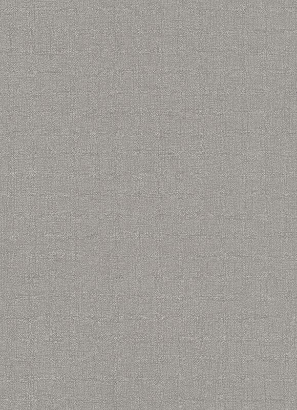 プライム・タイム(輸入フリース壁紙)　【6423-37】