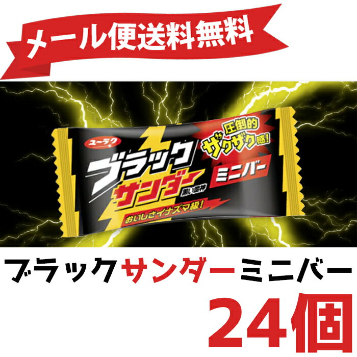 ★メール便送料無料★ブラックサンダー ミニバー 送料無料 24個セット ポイント消化 お試し バラ売り 有楽製菓 ※常温配送 メール便 コストコ 通販