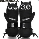 スキー スノーボード ウィンタースポーツ ウィンター BNDGIMA 子供用 スキー グローブ 男子 ガールズ用 厚手 パーム ベニヤ 暖かい 防水 内蔵 リスト ガード