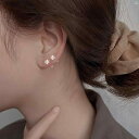 レディース アクセサリー ファッション おしゃれ 韓国 上品 綺麗 シンプル ミス Z シルバー スターリングシルバー 耳 ピアス イヤリング ファッション 睡眠 耳骨 ネイル