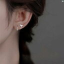 レディース アクセサリー ファッション おしゃれ 韓国 上品 綺麗 シンプル シルバー フィッシュ テール S 字 スパイラル イヤリング 耳 ピアス 睡眠ノー ピック レディース
