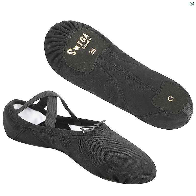 バレエ　バレエグッズ　ダンサー キャンバス ダンス シューズ 子供 フィギュア メンズ ソフト ソール バレエ シューズ大歳 猫 爪 レディース 練習 靴 エスニック