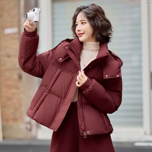 レディース レディース ファッション 上品 オシャレ 綺麗 リトル パン 九 江 ファッション ホワイトダックダウン ジャケット 秋冬 小柄 ショート レディース レディース ファッション 上品 オシャレ 綺麗 リトル パン 九 江 ファッション ホワイトダックダウン ジャケット 秋冬 小柄 ショート