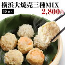 【佐賀 佐賀冷凍食品】 かねすえ 彩色いかしゅうまい 冷凍 25g×5種×各6個 産地直送 お取り寄せグルメ 佐賀県名物 いか イカ 海老 明太 海藻 錦糸 シュウマイ 母の日 父の日 敬老の日 お中元 お歳暮 お祝い ギフト レンジで簡単調理 創業明治25年の老舗メーカー 送料無料