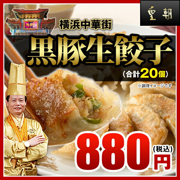 【餃子-20個入】★販売個数2800万個突破★パリパリ感が他とは違う！黒豚生餃子