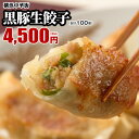 【餃子-20個入×5箱】★販売個数2800万個突破★パリパリ感が他とは違う！黒豚生餃子